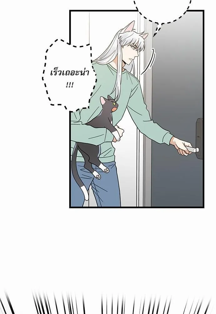 My One and Only Cat ตอนที่ 2729