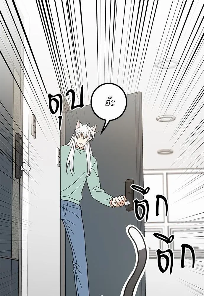 My One and Only Cat ตอนที่ 2730