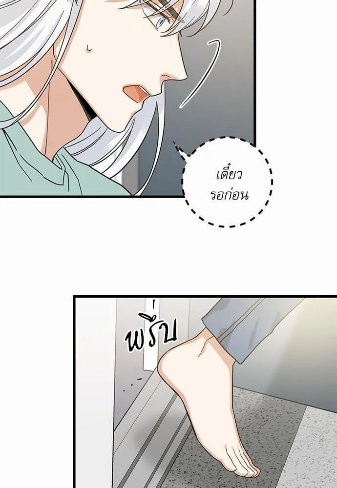 My One and Only Cat ตอนที่ 2733