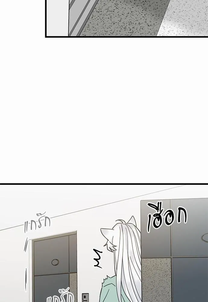 My One and Only Cat ตอนที่ 2734