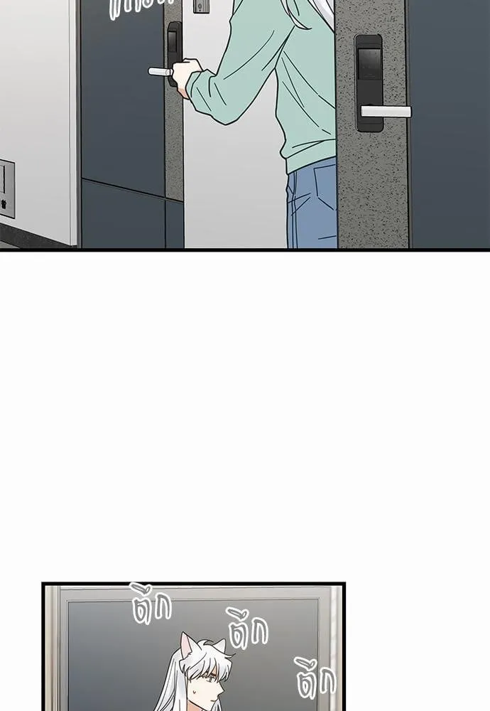 My One and Only Cat ตอนที่ 2735