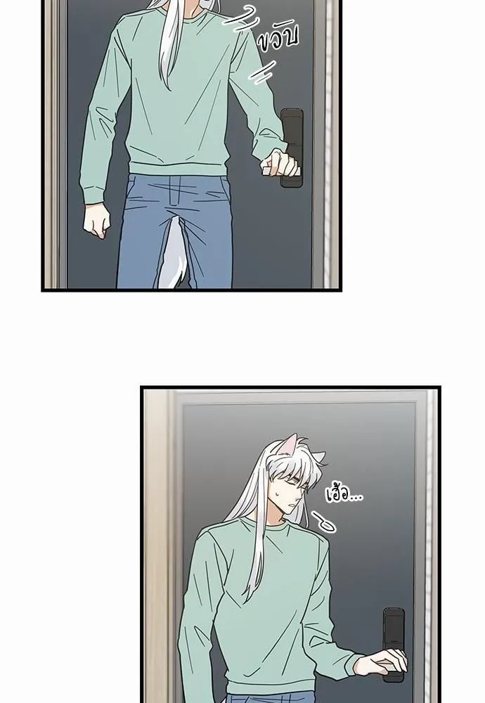 My One and Only Cat ตอนที่ 2736