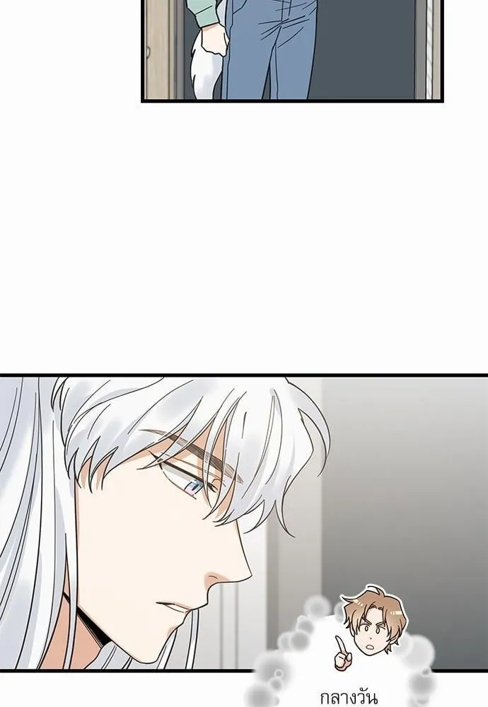 My One and Only Cat ตอนที่ 2737