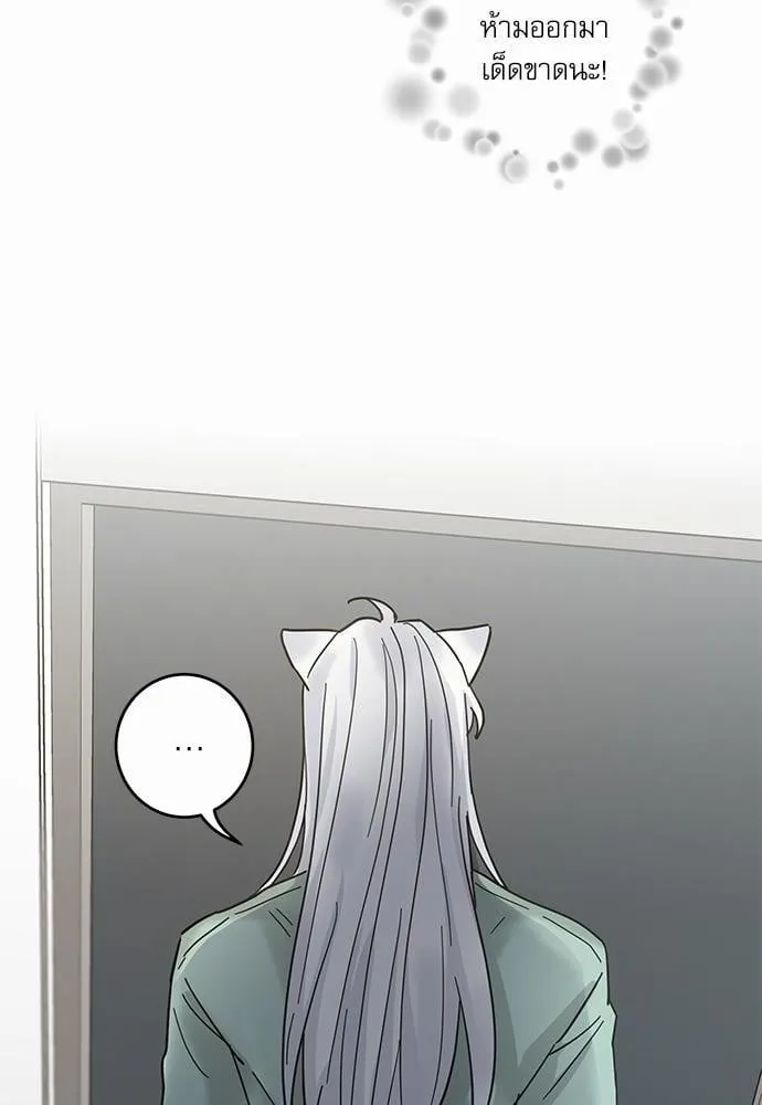 My One and Only Cat ตอนที่ 2738