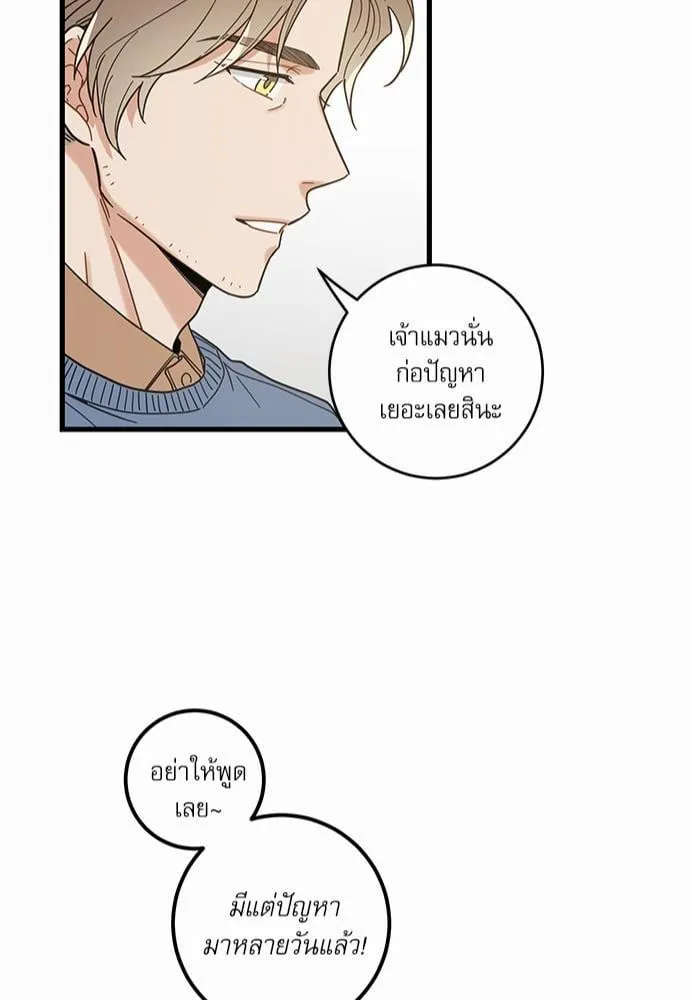 My One and Only Cat ตอนที่ 2745