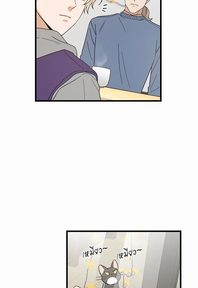 My One and Only Cat ตอนที่ 2749