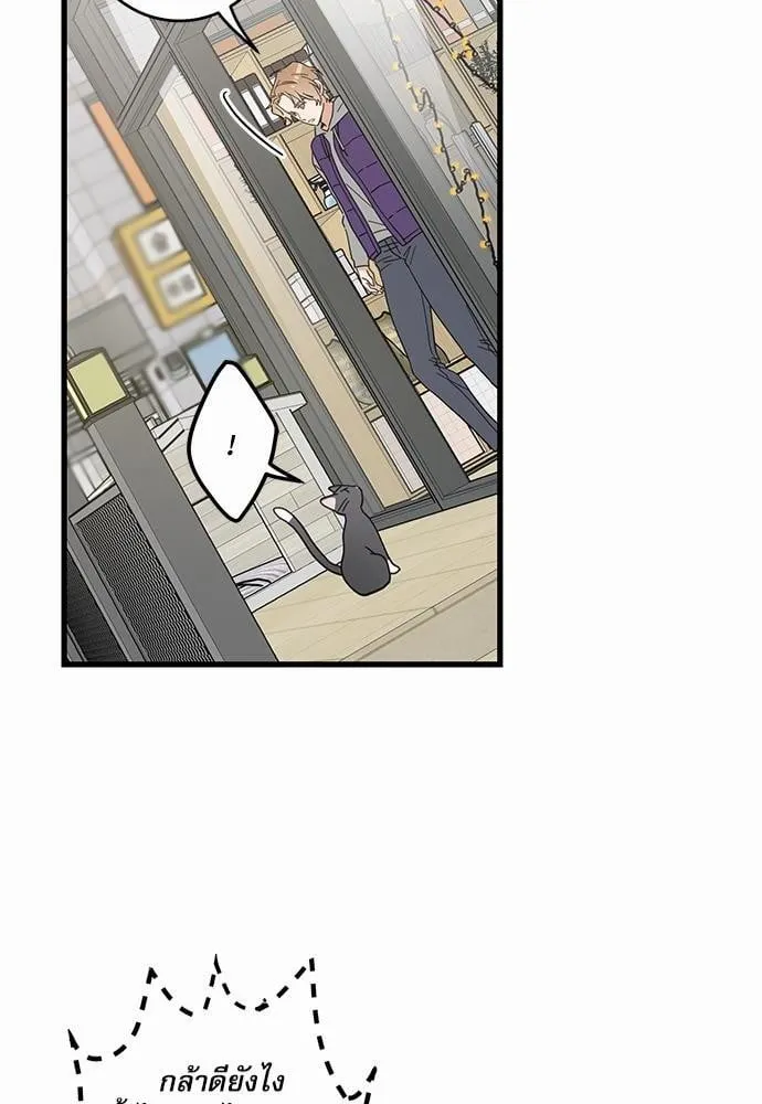 My One and Only Cat ตอนที่ 2752