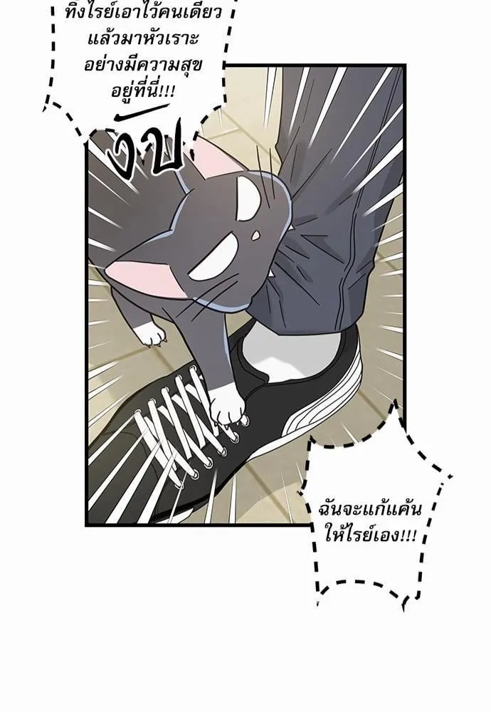 My One and Only Cat ตอนที่ 2753