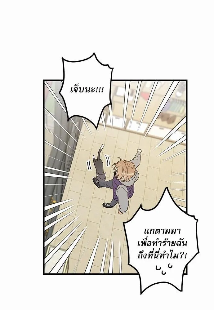 My One and Only Cat ตอนที่ 2754