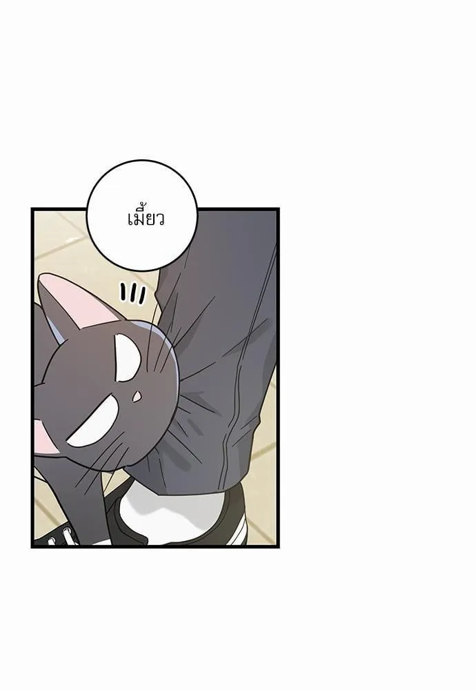 My One and Only Cat ตอนที่ 2755