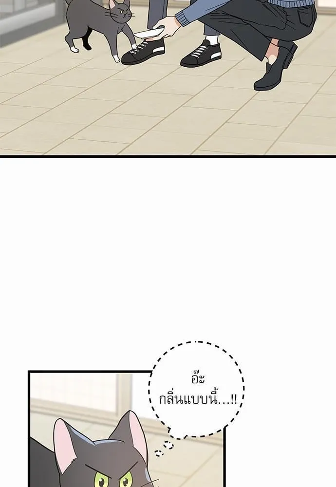 My One and Only Cat ตอนที่ 2757