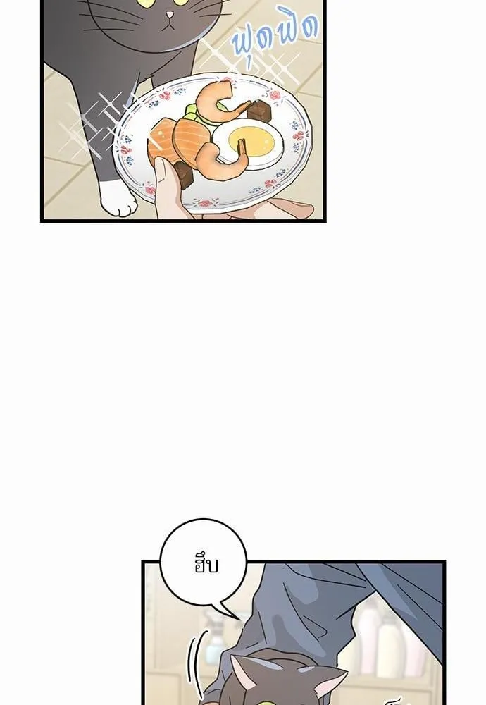 My One and Only Cat ตอนที่ 2758