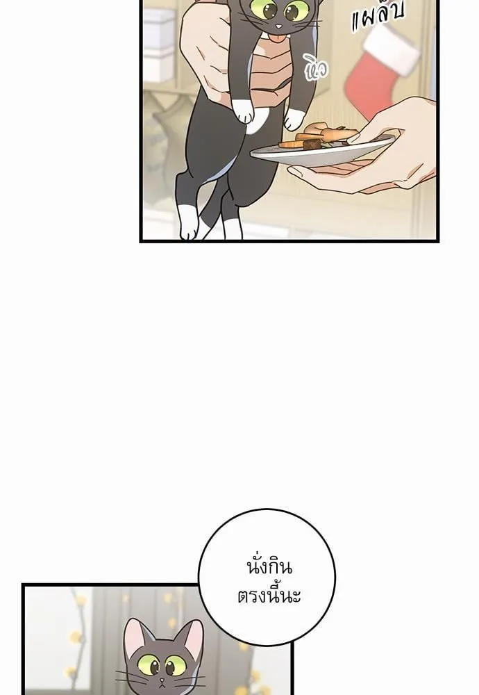My One and Only Cat ตอนที่ 2759