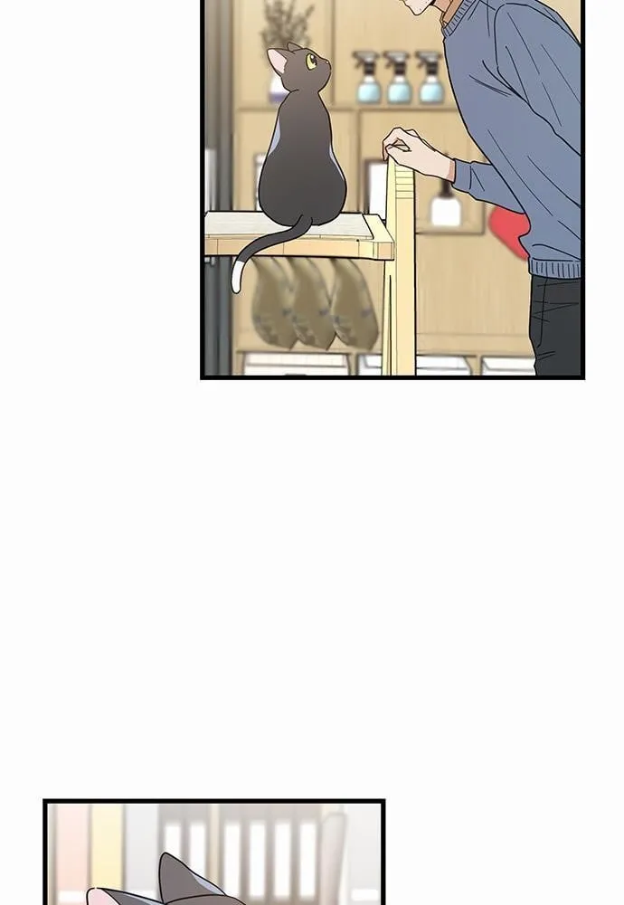 My One and Only Cat ตอนที่ 2761