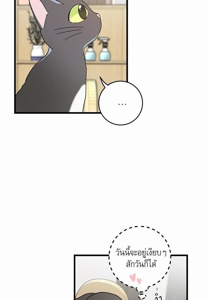 My One and Only Cat ตอนที่ 2762