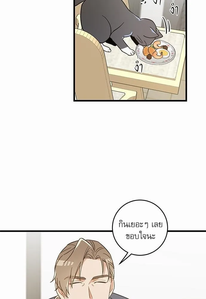 My One and Only Cat ตอนที่ 2763