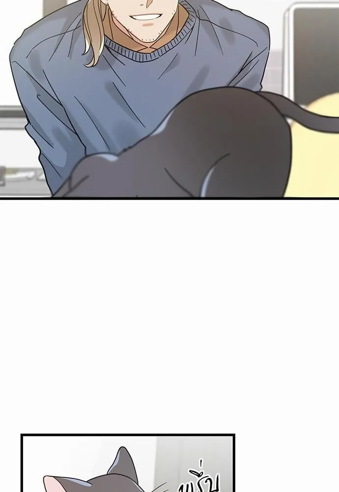 My One and Only Cat ตอนที่ 2764