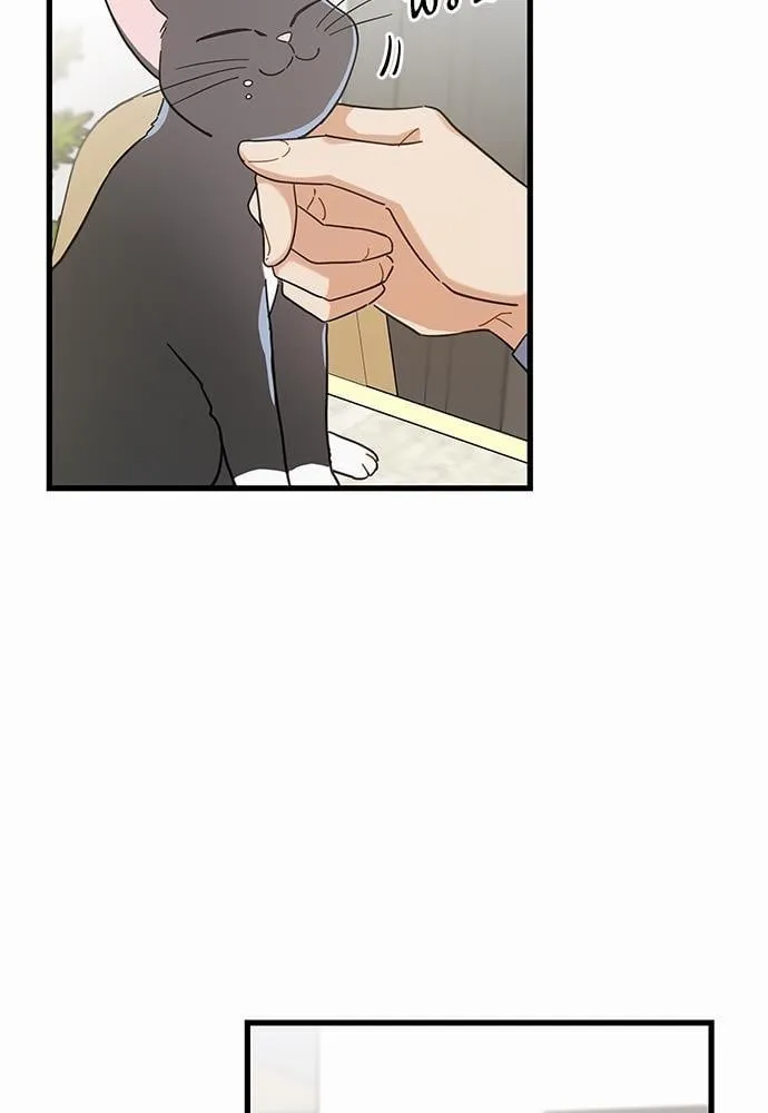 My One and Only Cat ตอนที่ 2765