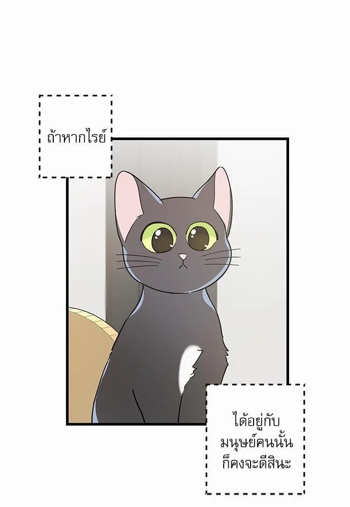 My One and Only Cat ตอนที่ 2769