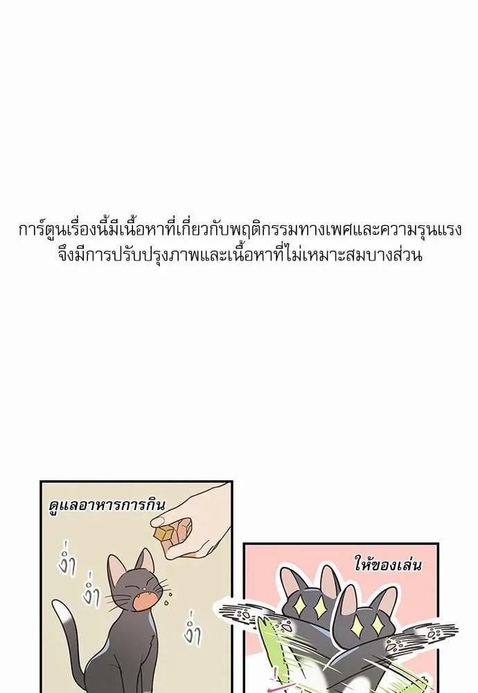 My One and Only Cat ตอนที่ 2801 My One and Only Cat ตอนที่ 2801