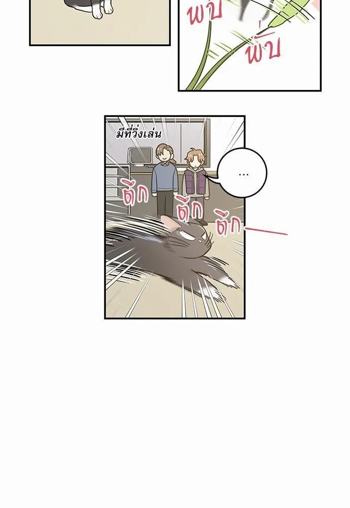 My One and Only Cat ตอนที่ 2802 My One and Only Cat ตอนที่ 2802