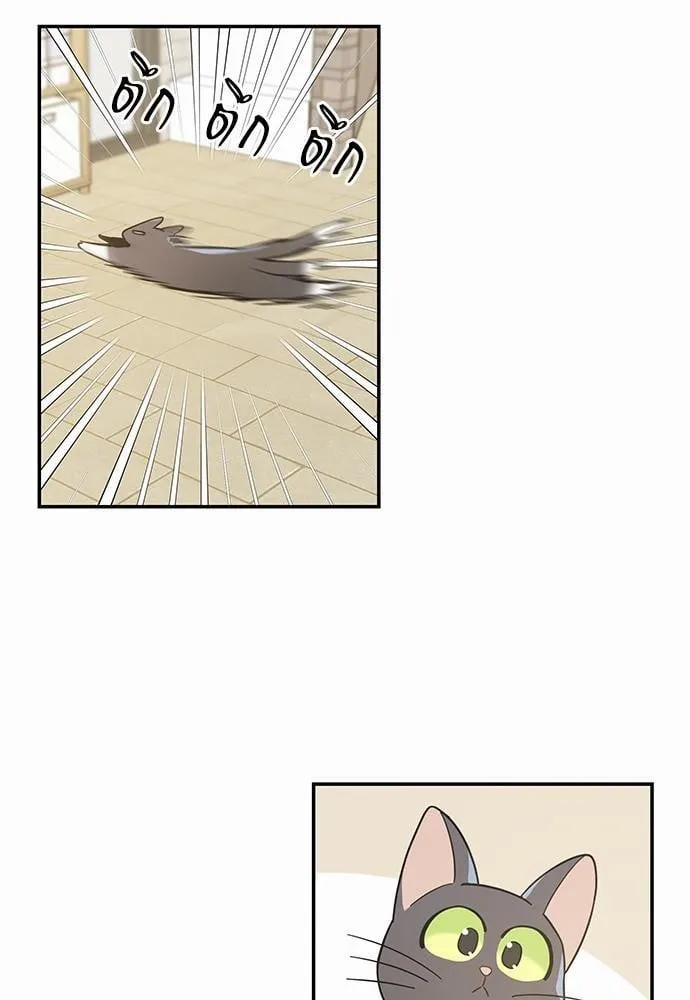 My One and Only Cat ตอนที่ 2803 My One and Only Cat ตอนที่ 2803