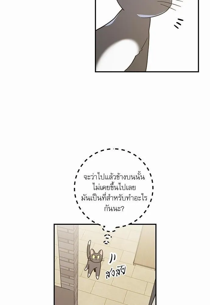 My One and Only Cat ตอนที่ 2804 My One and Only Cat ตอนที่ 2804
