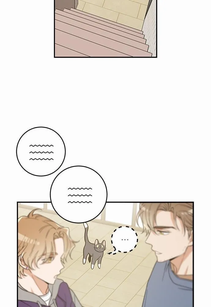 My One and Only Cat ตอนที่ 2805 My One and Only Cat ตอนที่ 2805