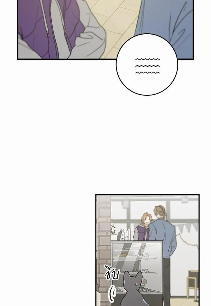 My One and Only Cat ตอนที่ 2806 My One and Only Cat ตอนที่ 2806