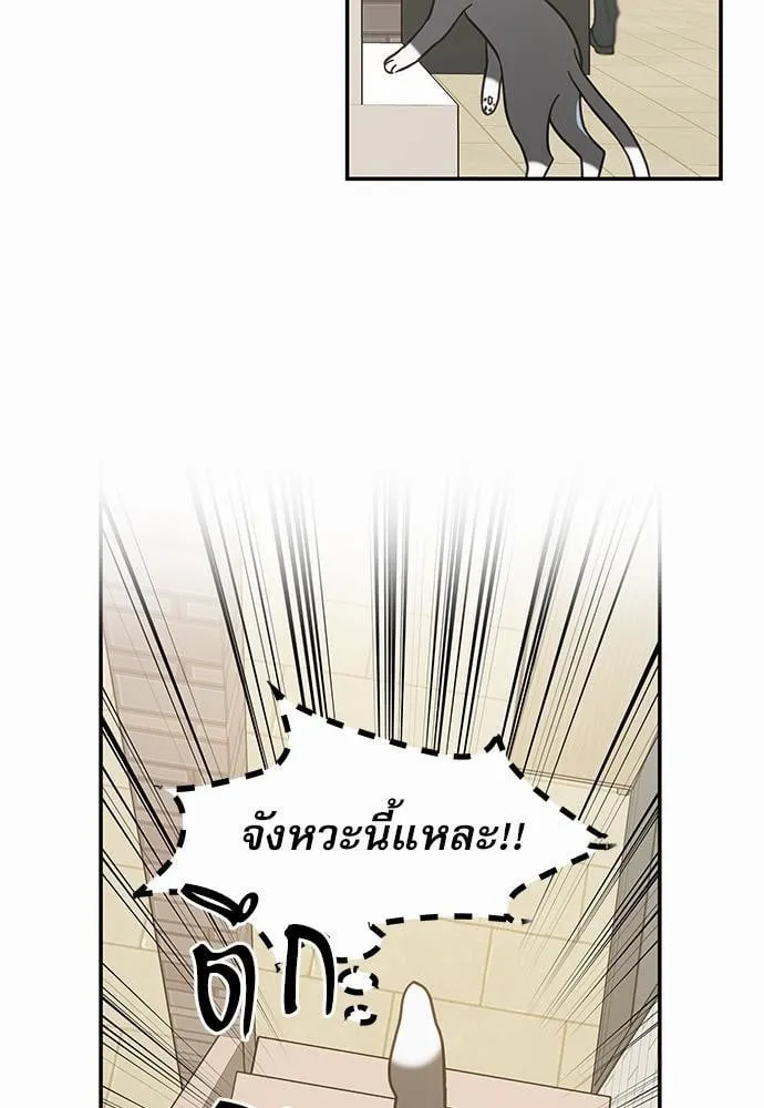 My One and Only Cat ตอนที่ 2807 My One and Only Cat ตอนที่ 2807