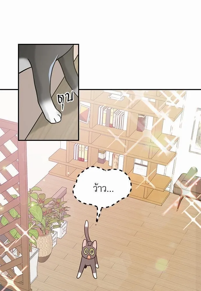 My One and Only Cat ตอนที่ 2809 My One and Only Cat ตอนที่ 2809