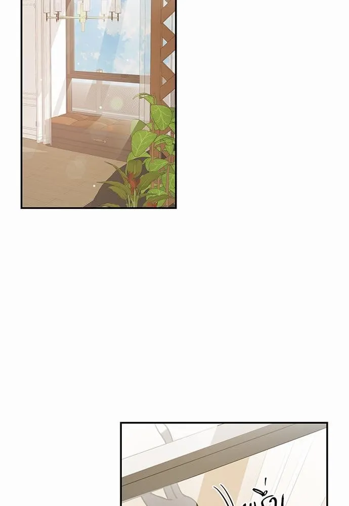 My One and Only Cat ตอนที่ 2811 My One and Only Cat ตอนที่ 2811