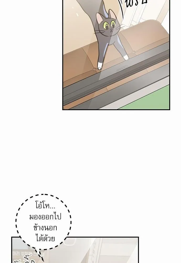 My One and Only Cat ตอนที่ 2812 My One and Only Cat ตอนที่ 2812