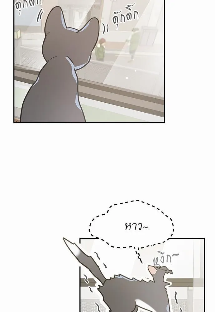 My One and Only Cat ตอนที่ 2813 My One and Only Cat ตอนที่ 2813