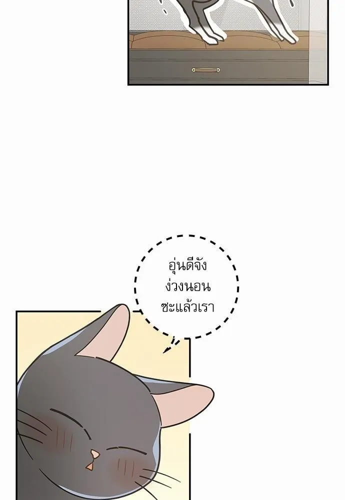 My One and Only Cat ตอนที่ 2814 My One and Only Cat ตอนที่ 2814