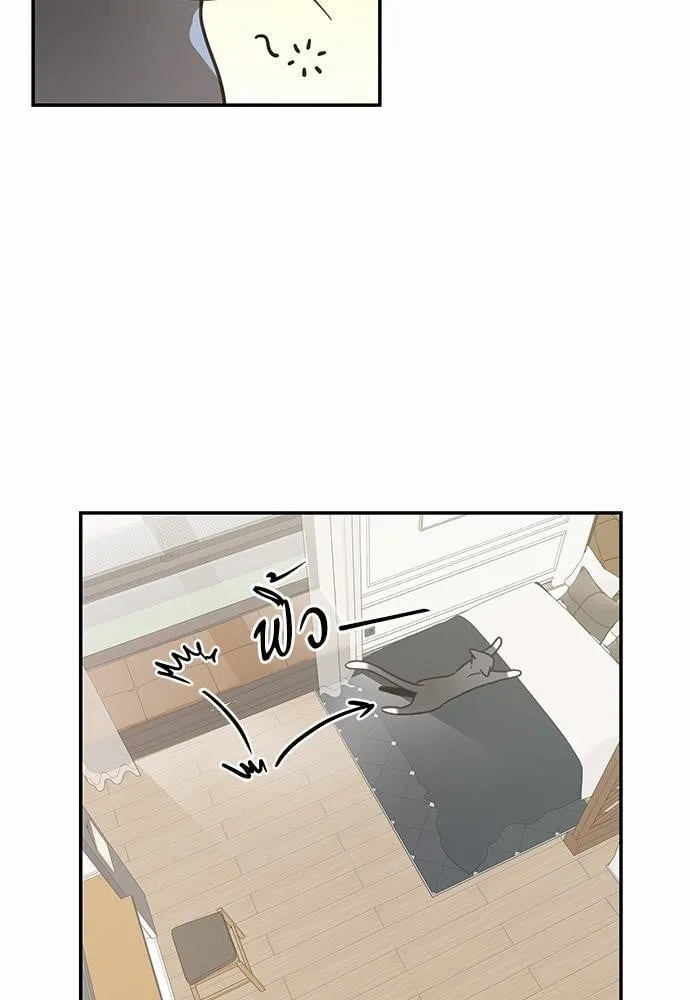 My One and Only Cat ตอนที่ 2815 My One and Only Cat ตอนที่ 2815