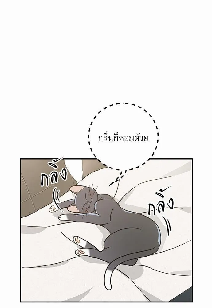 My One and Only Cat ตอนที่ 2817 My One and Only Cat ตอนที่ 2817