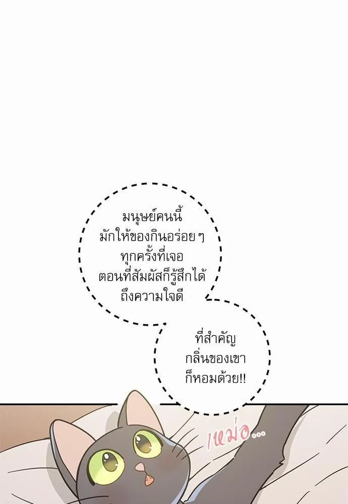 My One and Only Cat ตอนที่ 2818 My One and Only Cat ตอนที่ 2818