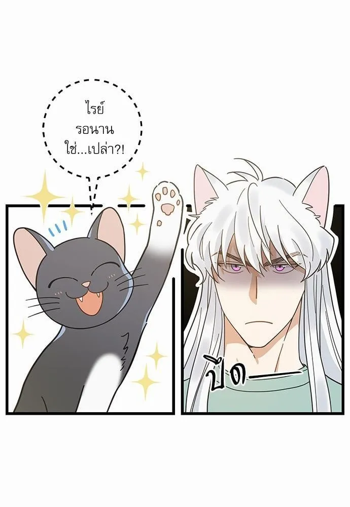 My One and Only Cat ตอนที่ 2823 My One and Only Cat ตอนที่ 2823