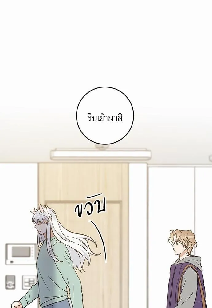 My One and Only Cat ตอนที่ 2824 My One and Only Cat ตอนที่ 2824