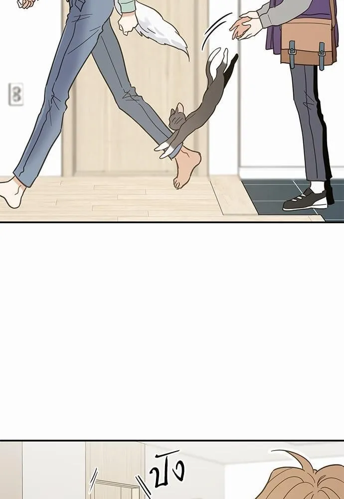 My One and Only Cat ตอนที่ 2825 My One and Only Cat ตอนที่ 2825