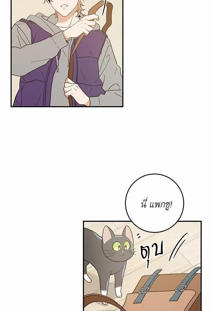 My One and Only Cat ตอนที่ 2827 My One and Only Cat ตอนที่ 2827