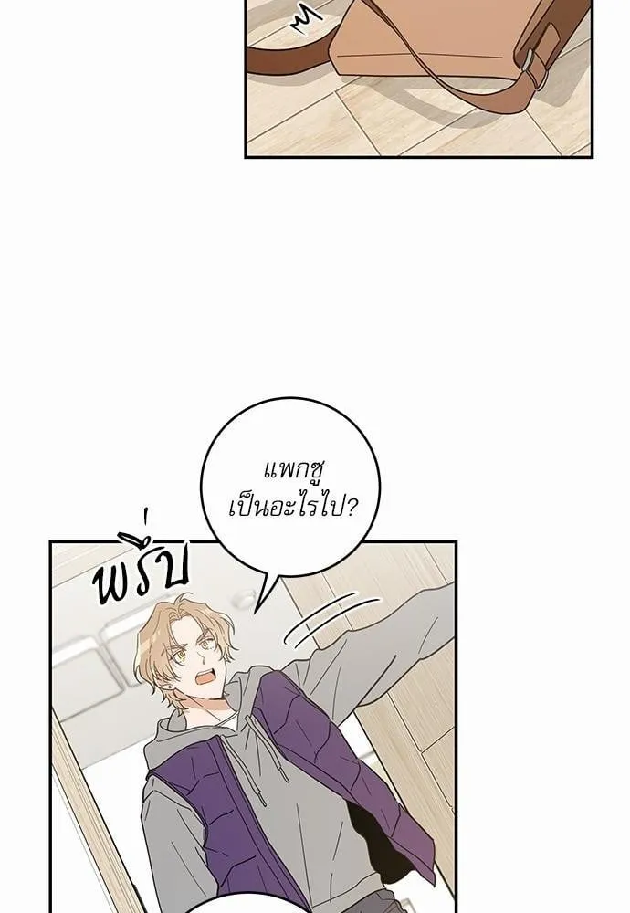 My One and Only Cat ตอนที่ 2828 My One and Only Cat ตอนที่ 2828