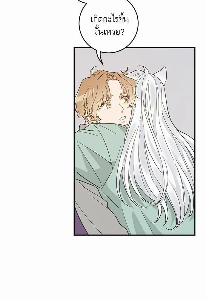 My One and Only Cat ตอนที่ 2833 My One and Only Cat ตอนที่ 2833