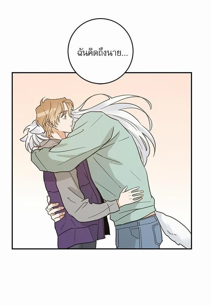 My One and Only Cat ตอนที่ 2834 My One and Only Cat ตอนที่ 2834