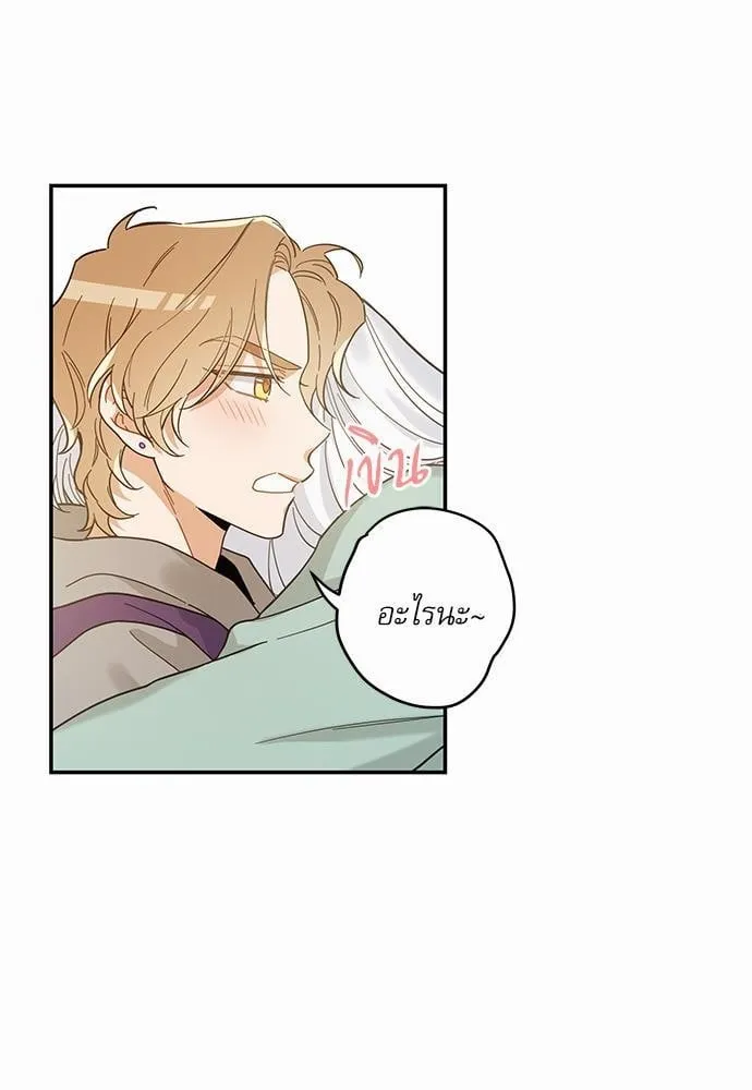 My One and Only Cat ตอนที่ 2835 My One and Only Cat ตอนที่ 2835