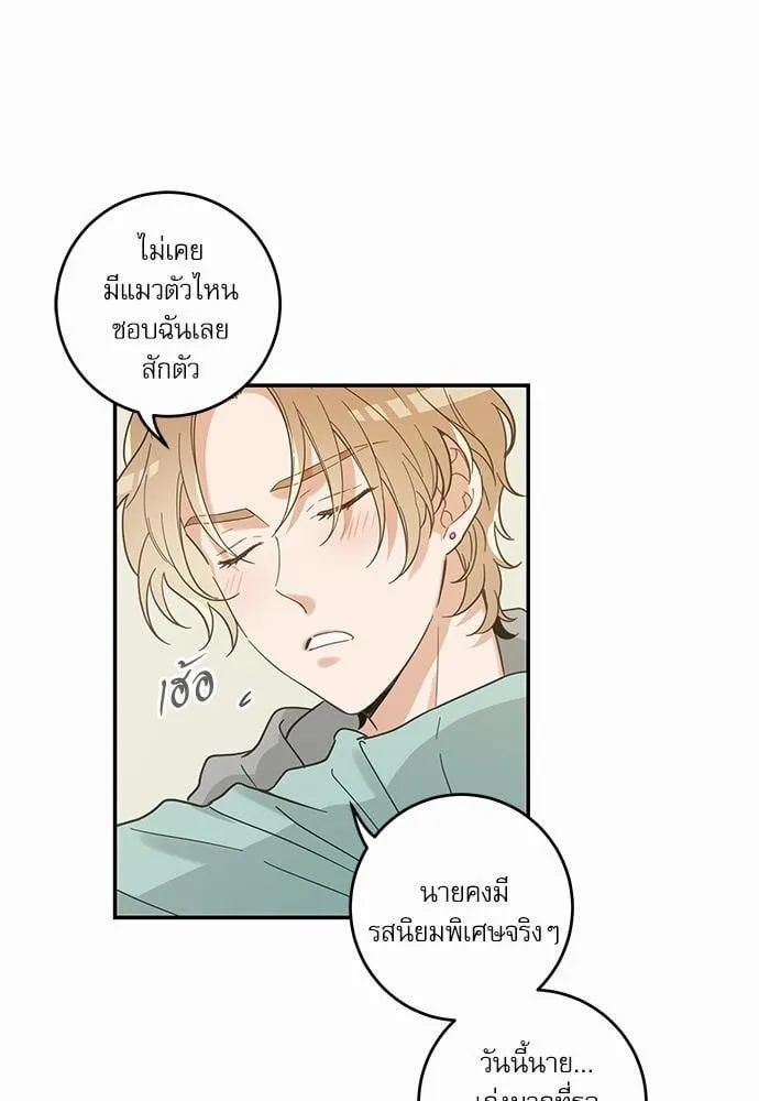 My One and Only Cat ตอนที่ 2837 My One and Only Cat ตอนที่ 2837