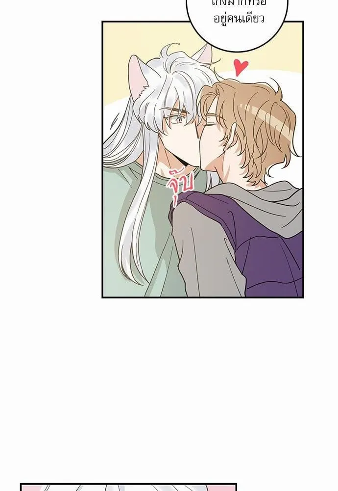 My One and Only Cat ตอนที่ 2838 My One and Only Cat ตอนที่ 2838