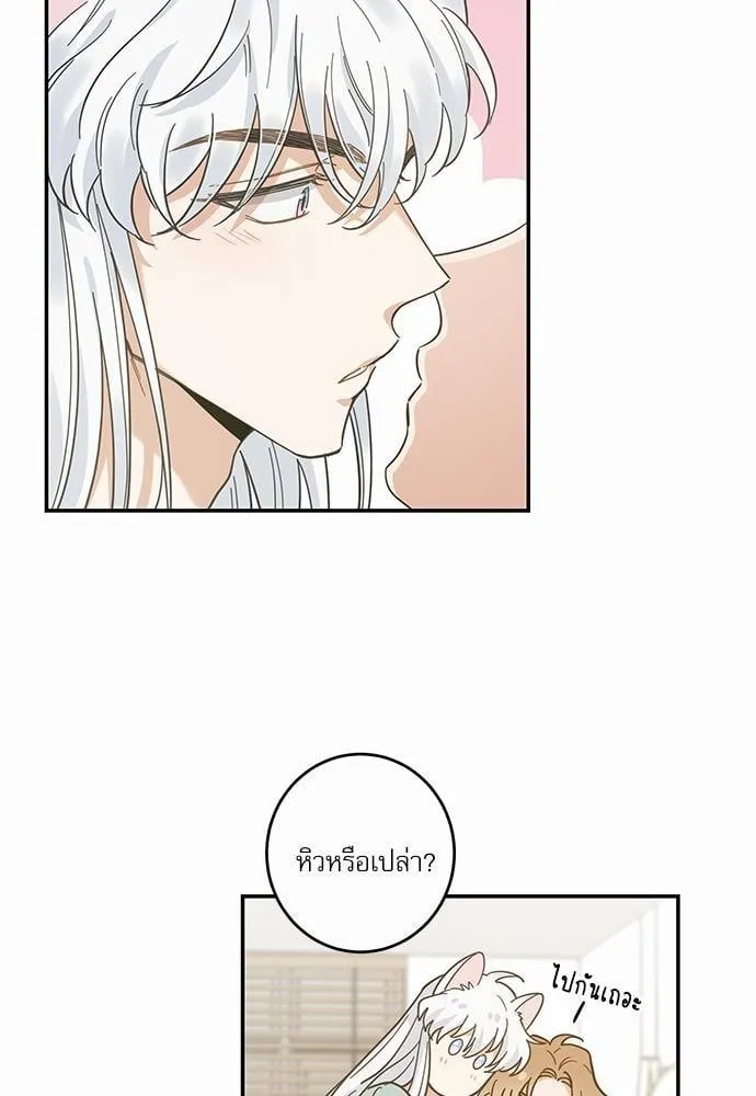 My One and Only Cat ตอนที่ 2839 My One and Only Cat ตอนที่ 2839