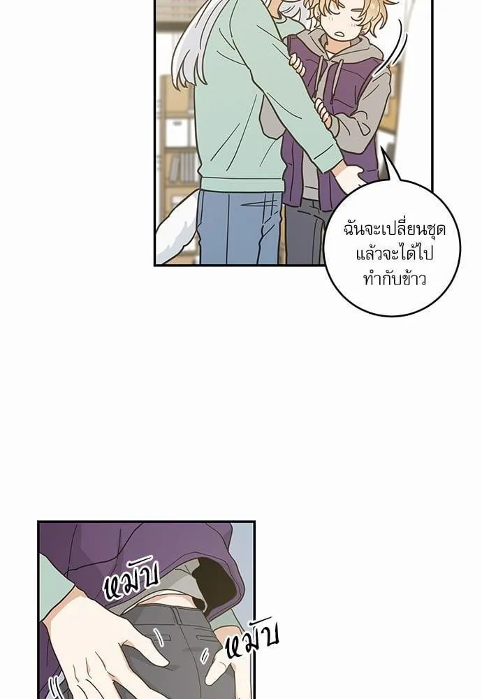 My One and Only Cat ตอนที่ 2840 My One and Only Cat ตอนที่ 2840